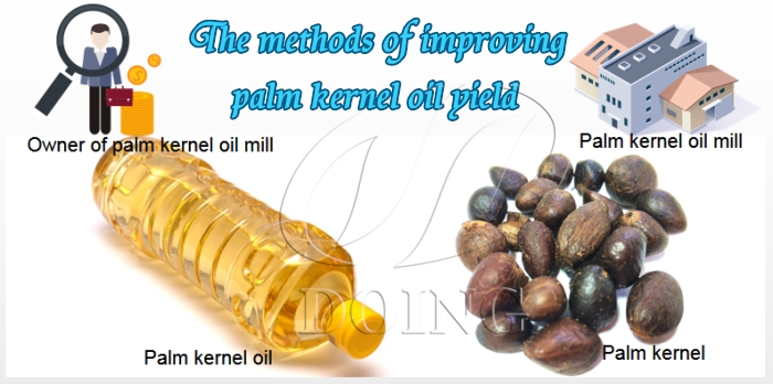 palm kernel oil processing machine 