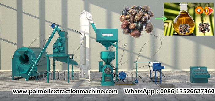palm kernel oil processing machine