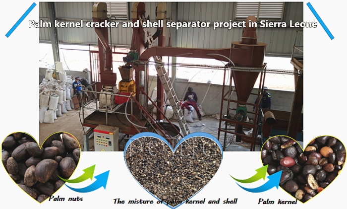 palm kernel cracker and shell separator machine 