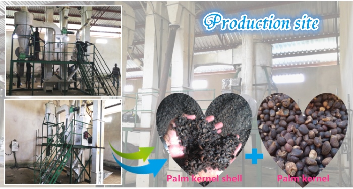 palm kernel crushing and separating machine