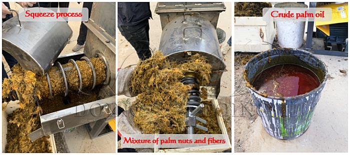 mini palm oil expeller machine 