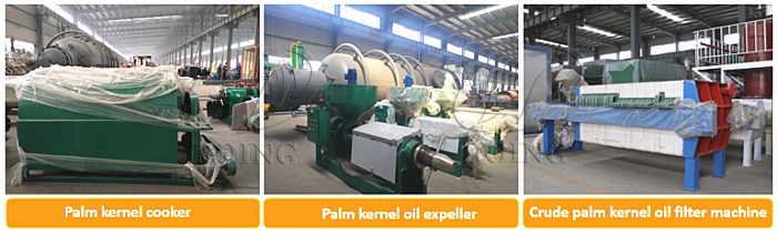 palm kernel oil processing machine 