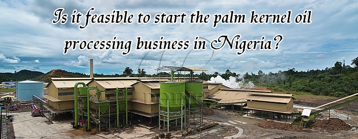 palm kernel oil processing business