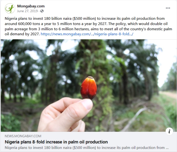 palm kernel oil processing business