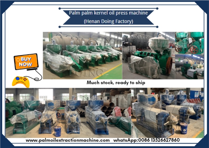 palm kernel oil expeller machine