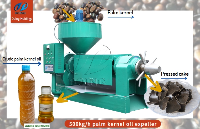 palm kernel oil pressing machine