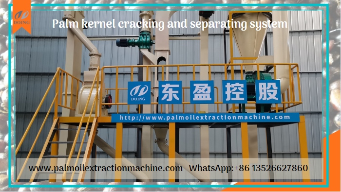 palm kernel cracking and separating machine