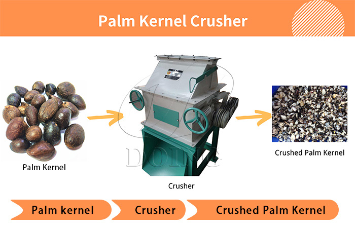 palm kernel crushing machine