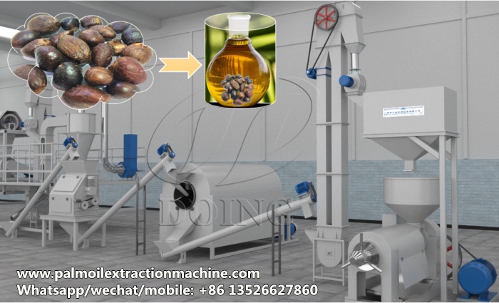 palm kernel oiil processing machine 