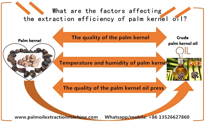 palm kernel oil extraction