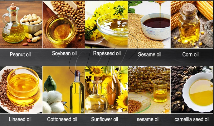 other oil seeds