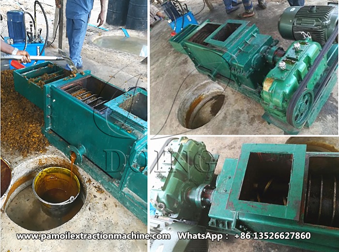 palm oil press machine