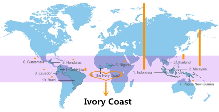 palm oil production business