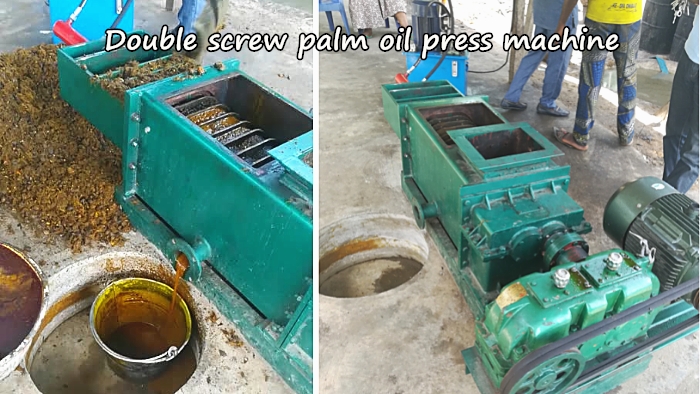 palm oil press machine