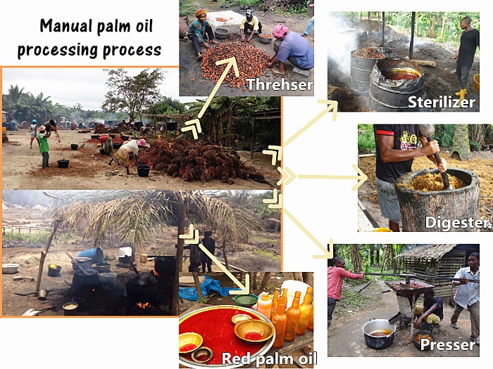 manual palm oil processing facilities