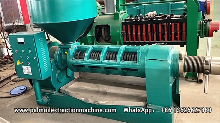 palm kernel oil press machine