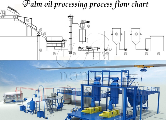 How to choose palm oil processing machine?