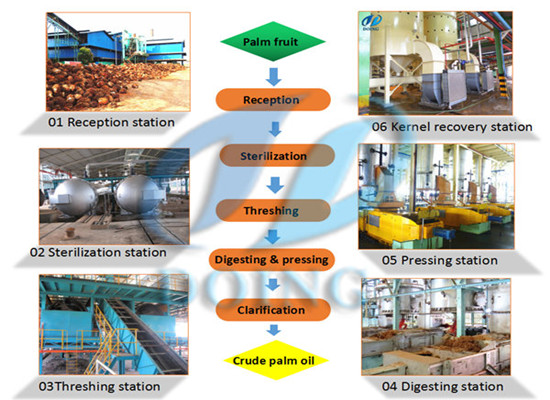 The Production and Utilization of High Acid Crude Palm Oil