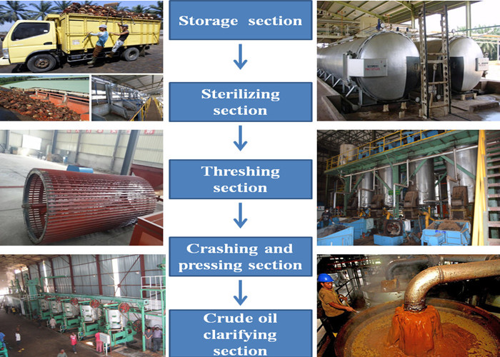 palm oil production process