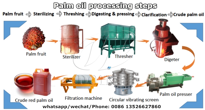 palm oi processing process