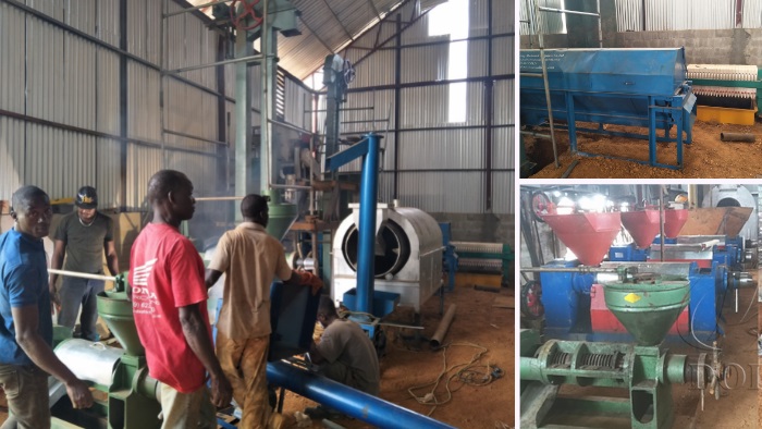 palm kernel oil processing machine installation