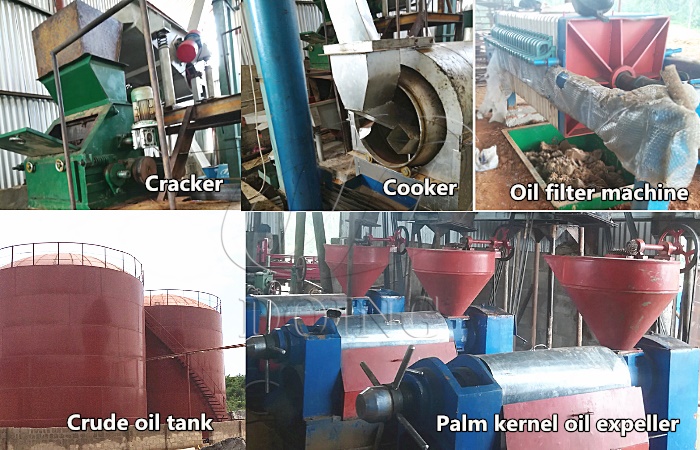 palm kernel oil processing machines