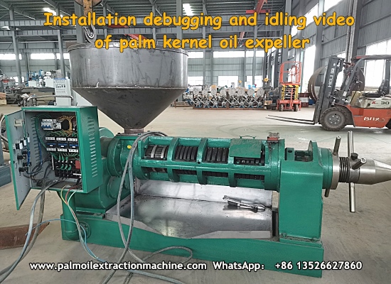 Small scale automatic palm kernel oil press machine installation debugging and idling video