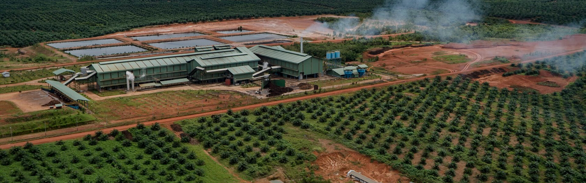 Palm oil processing plant