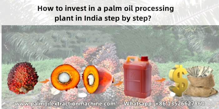 Palm fruit and palm oil photo