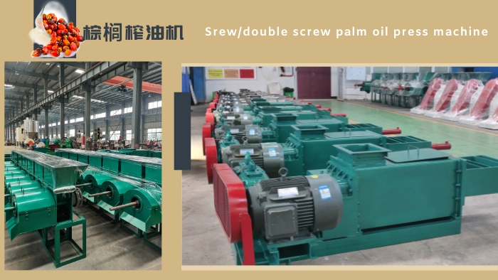 Double screw palm oil press machine