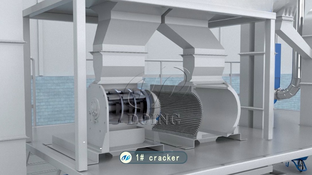 Galleta de nuez de palma