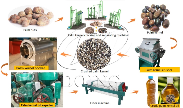 palm kernel oil production line