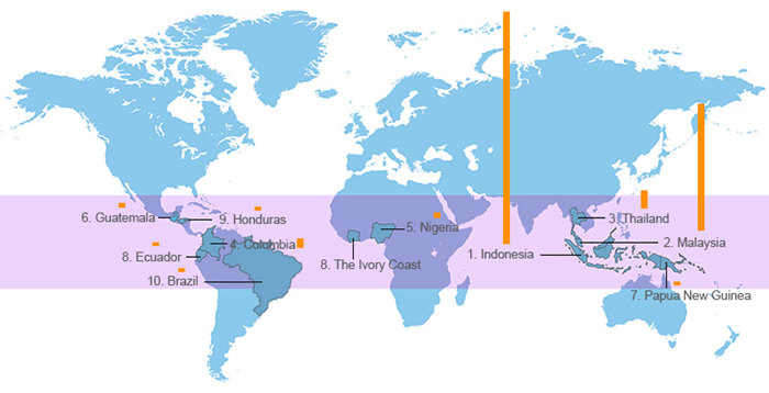 palm oil production countries