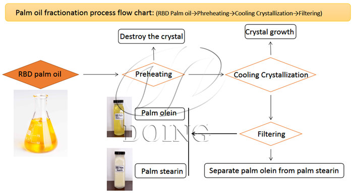 Processing of palm oil, palm kernel oil and fractionation process