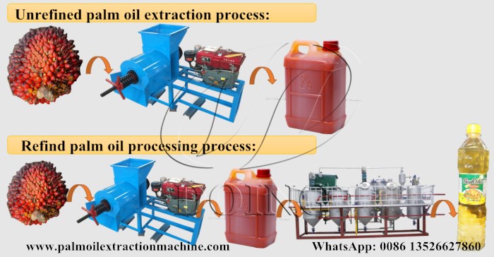 palm oil extraction machine 