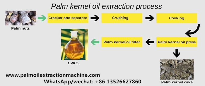 How to make clear organic palm kernel oil?_FAQ