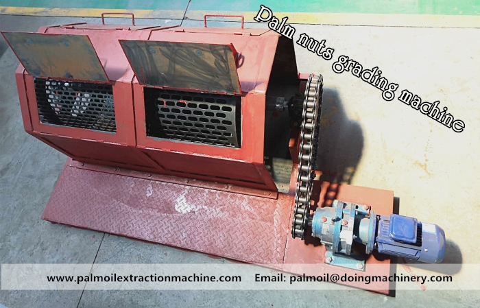 palm nuts grading machine