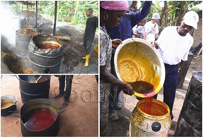 palm oil process